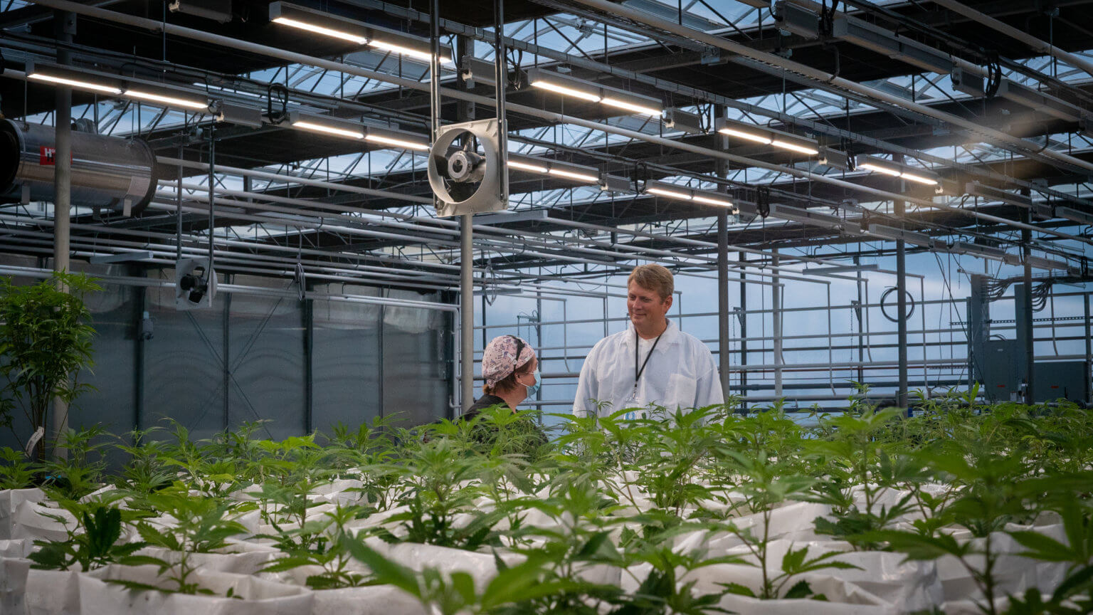 Nick Vita, the CEO at Columbia Care, and Sheri White, National Manager, Horticulture Operations for Columbia Care, at the Jamesport facility last year.