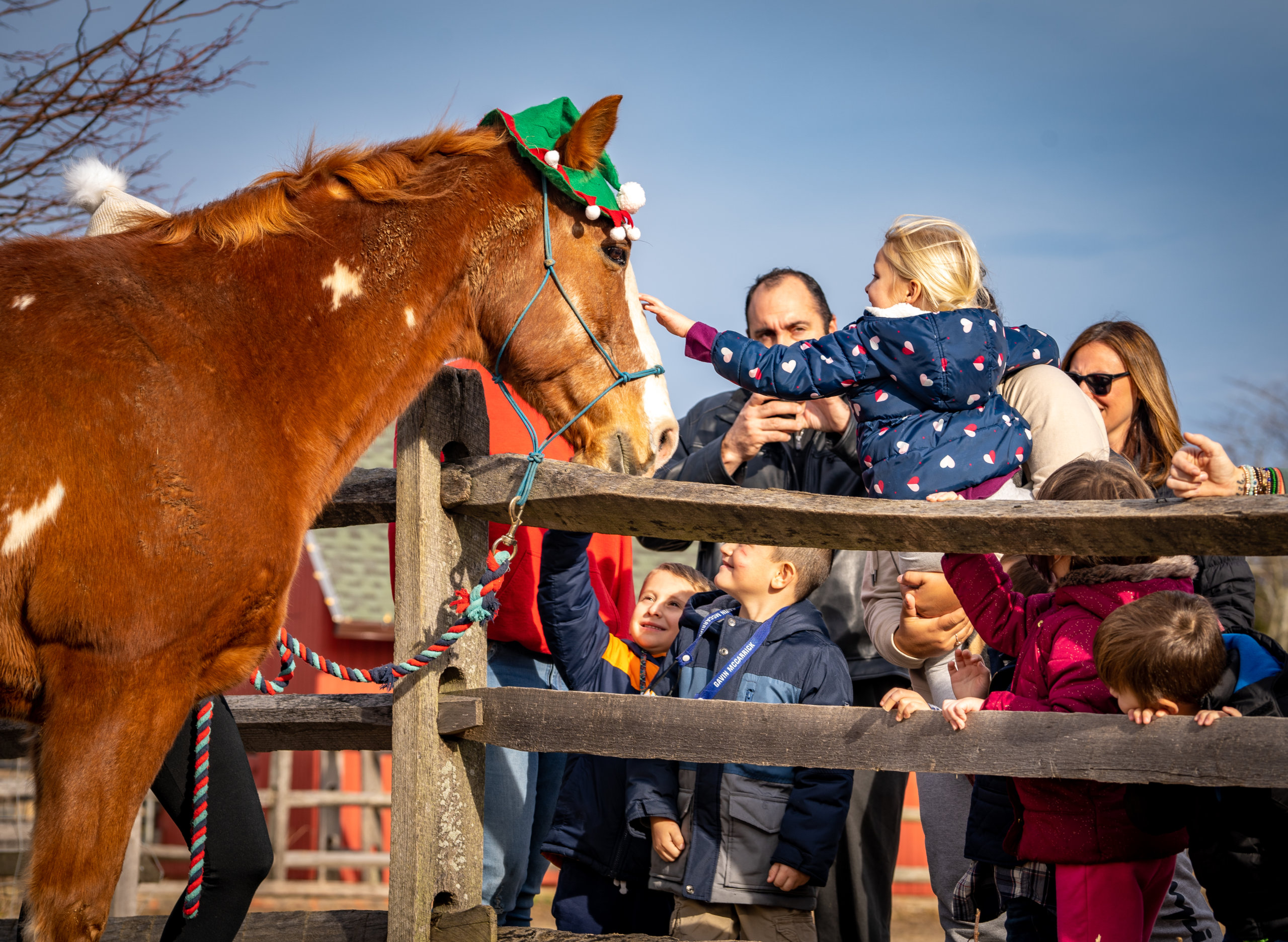 Horses help children and adults at Spirit's Promise in Riverhead near the Hamptons