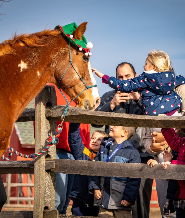 Horses help children and adults at Spirit's Promise in Riverhead near the Hamptons