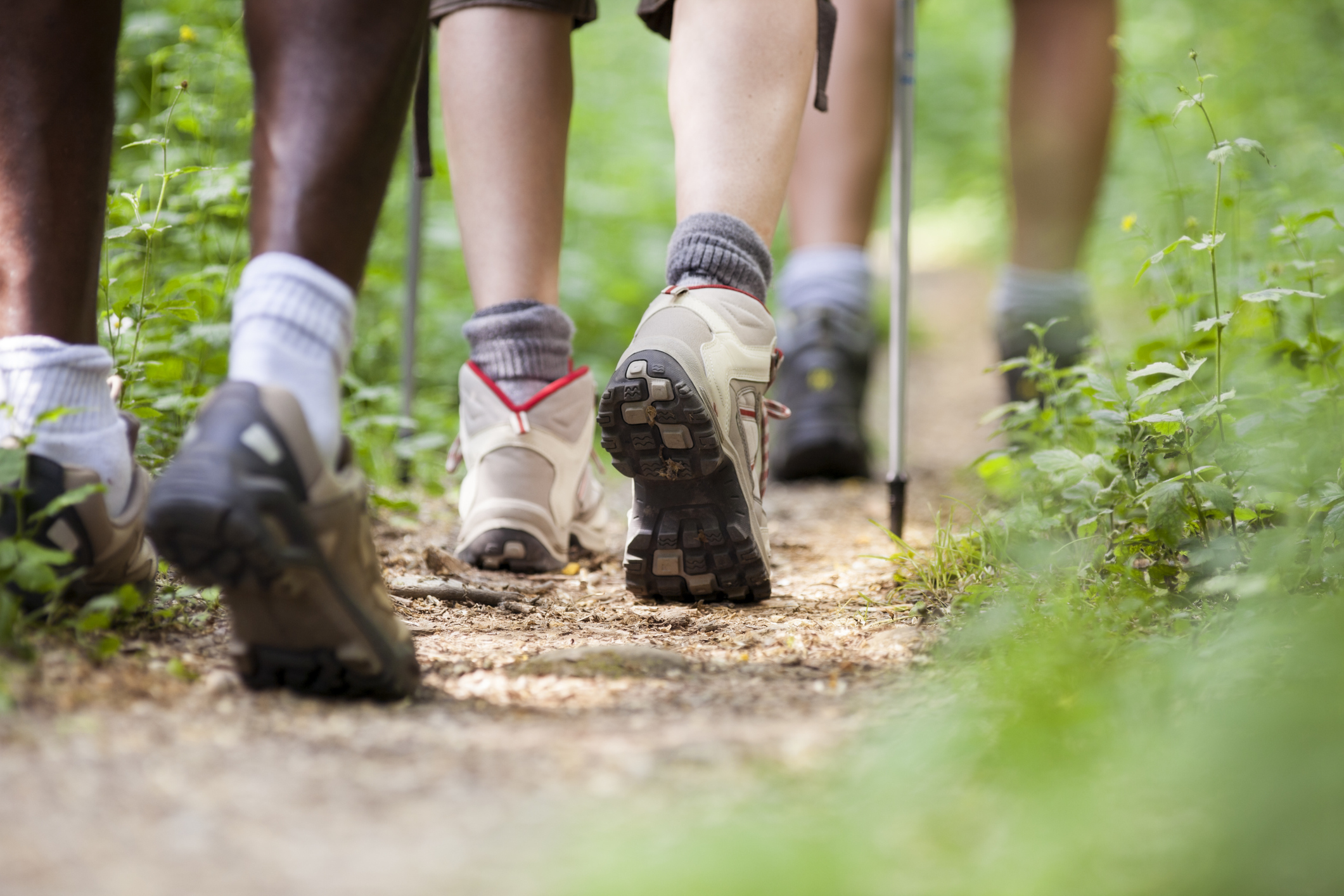 Take a hike in the Hamptons or North Fork this weekend!