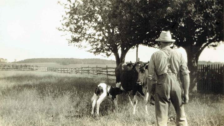 Delve into the Immigrant Experience at Hallock Museum Farm