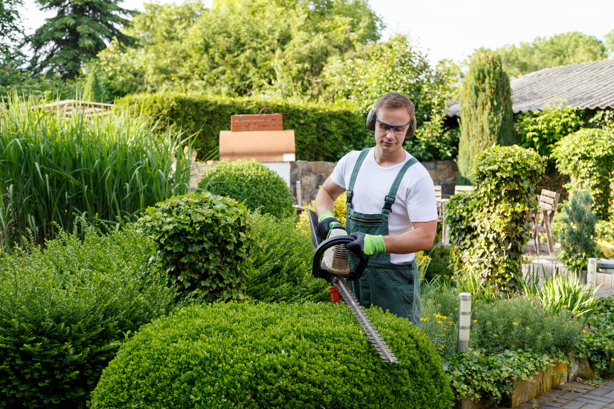 Garden Designer