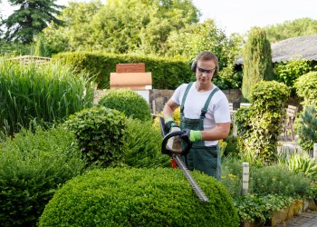 Garden Designer