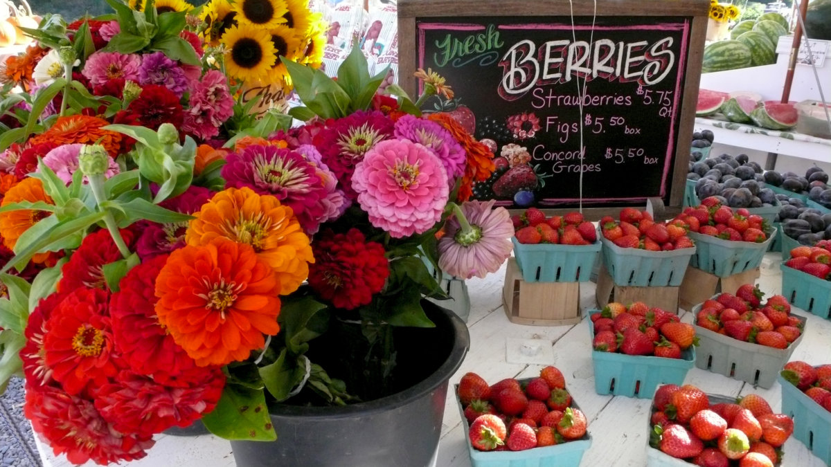 Farmers markets and farm stands are busy summer attractions on the East End