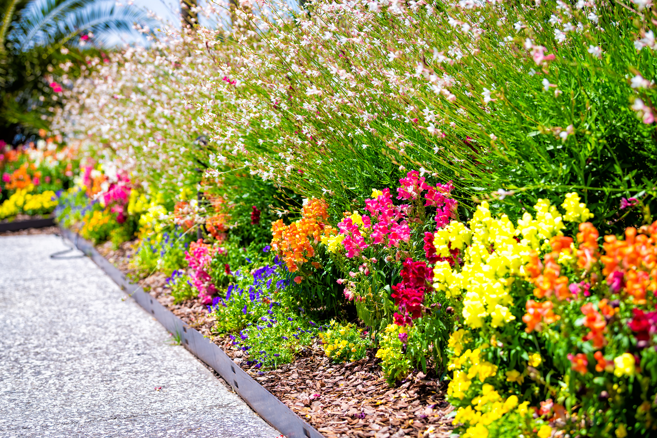 Explore the beautiful, lush gardens of the Hamptons this weekend