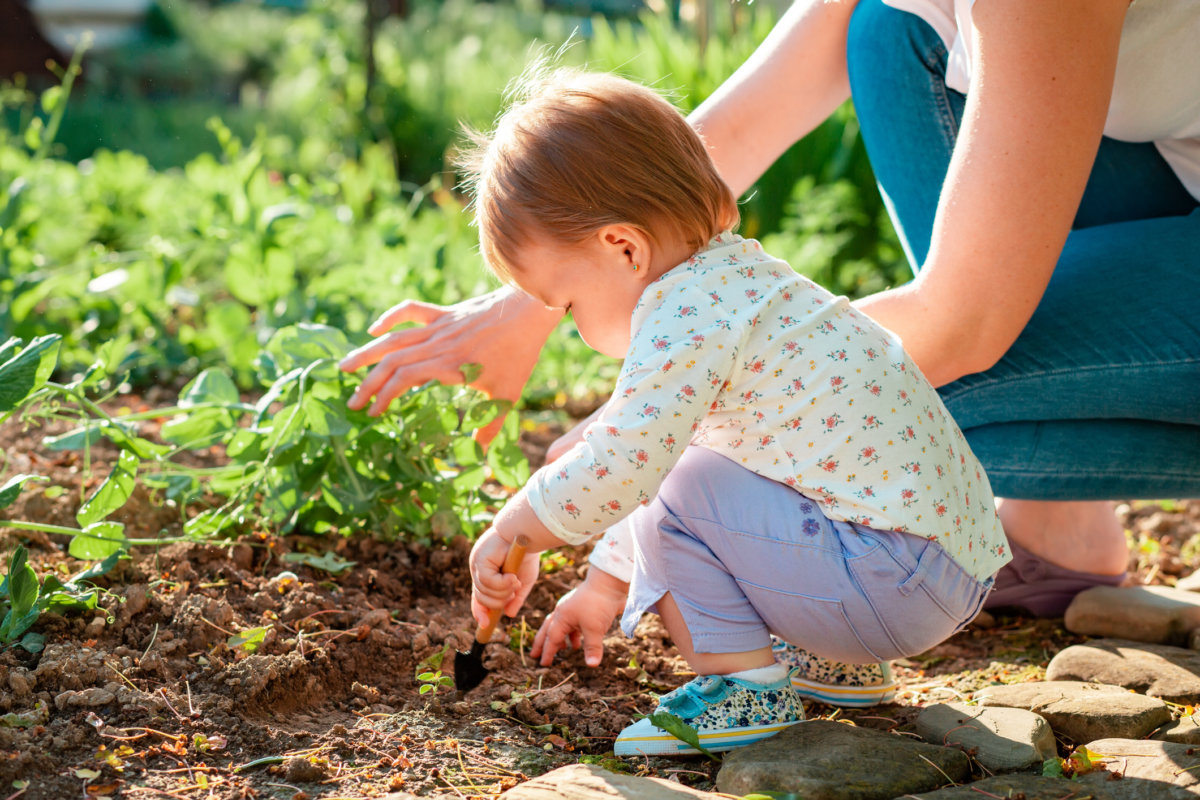 Summer season. Little baby weeds the herbs beds with a child's shovel. Mother nearby helps to her child to take care of the garden. The concept of family gardening.
