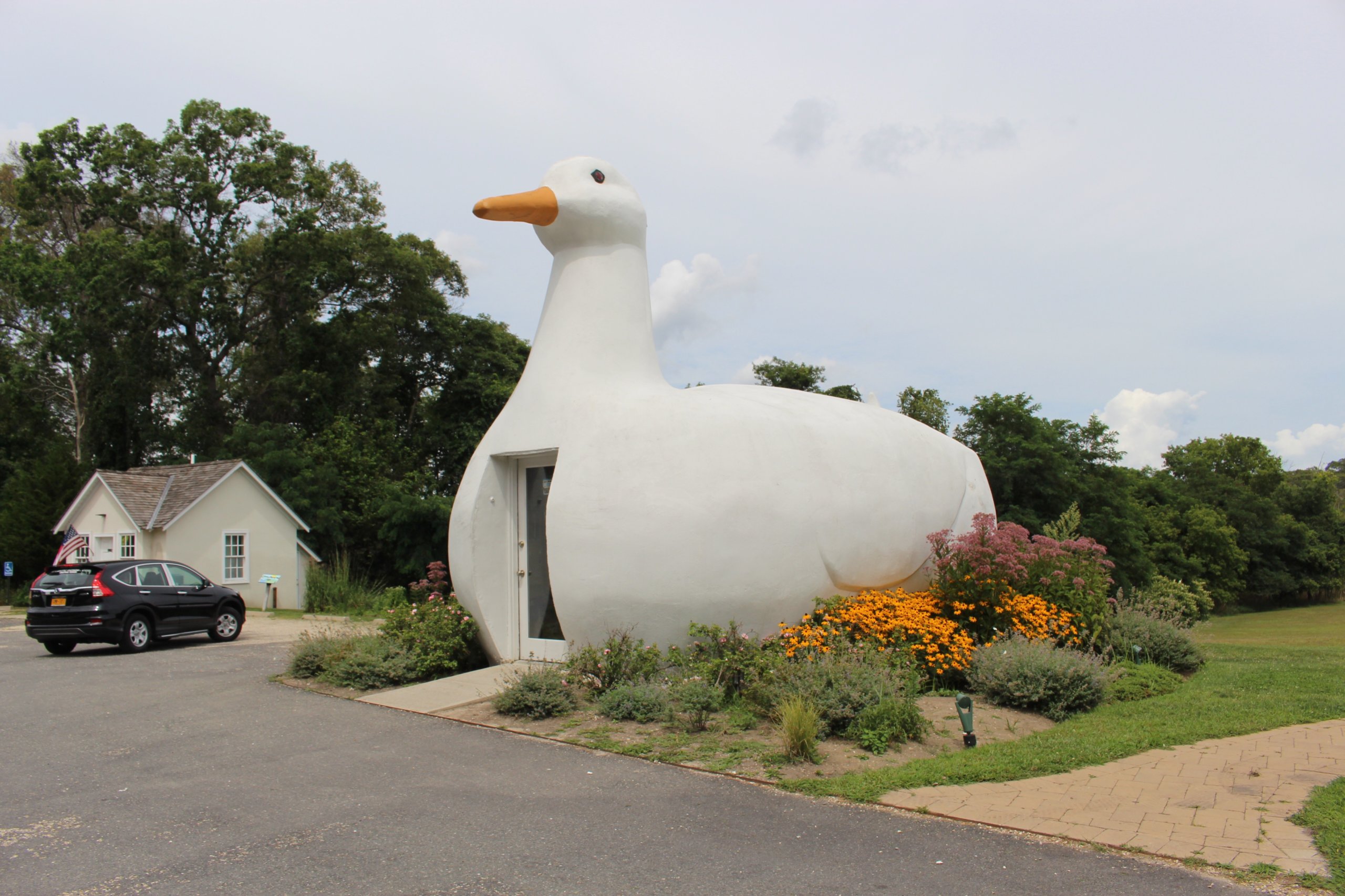 The Big Duck in Flanders