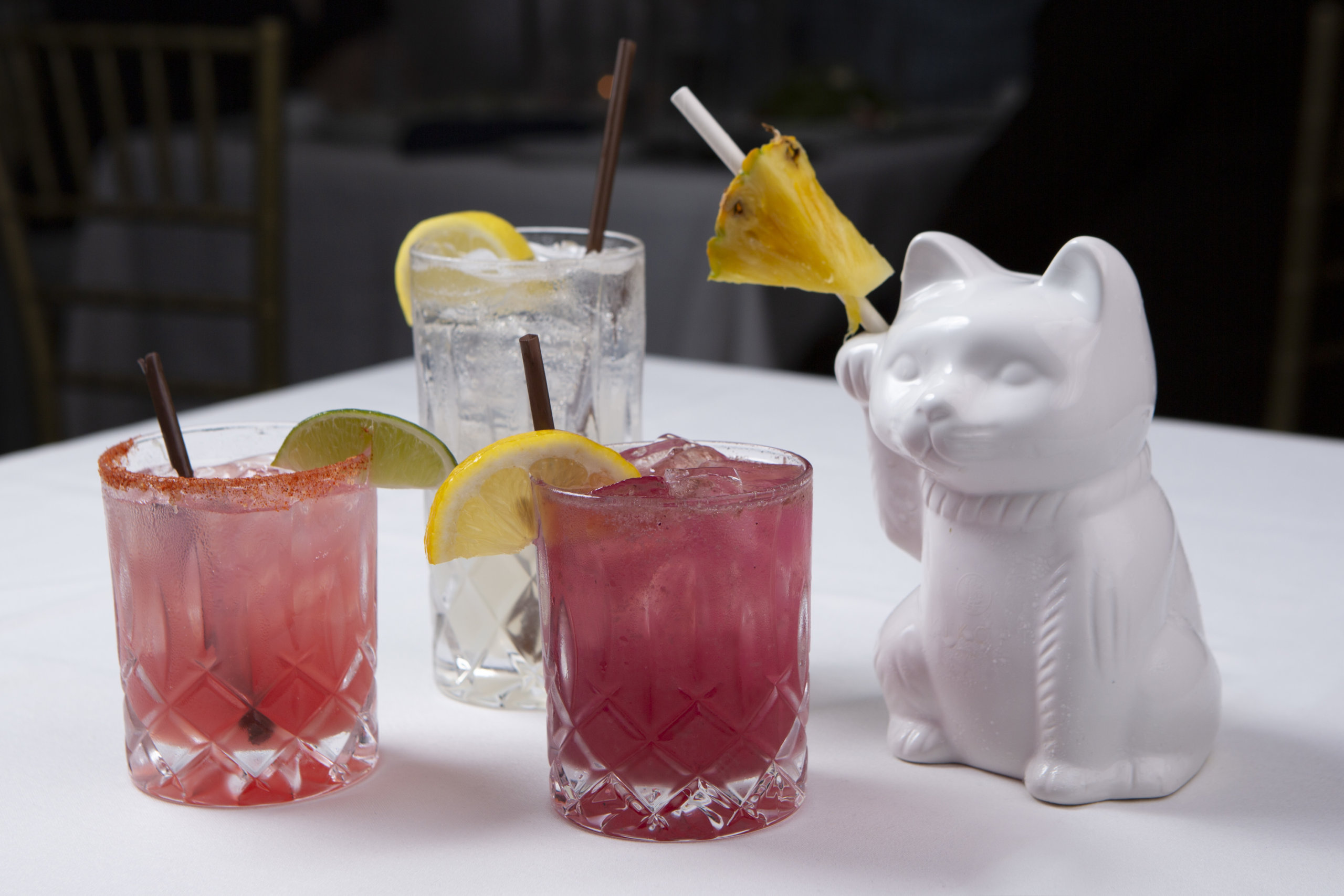 The Union Sushi & Steak Escape cocktail comes in a fun cat glass