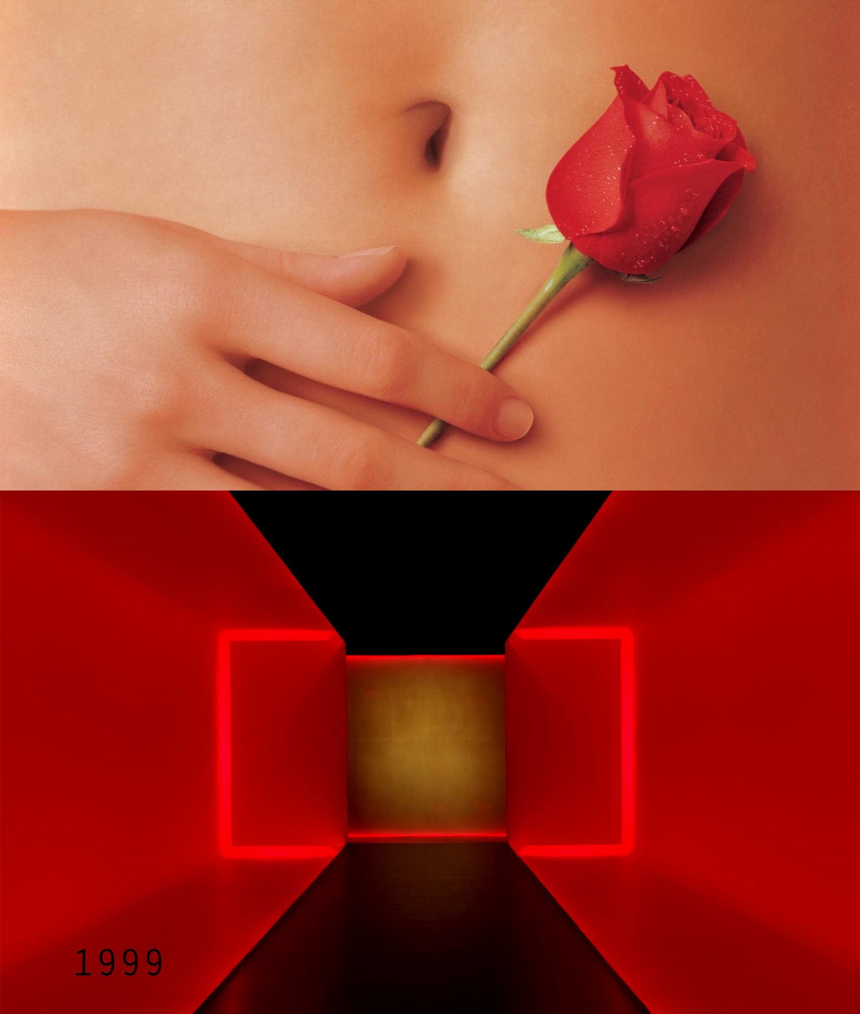 1999 film American Beauty with "The Light Inside" by James Turrell - by Bonnie Lautenberg