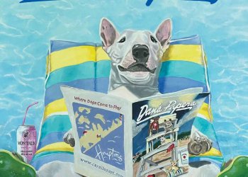 July 15, 2022 Dan's Papers cover art by Carol Luz