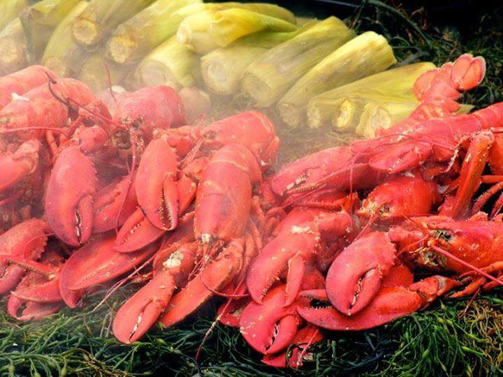 lobster bake
