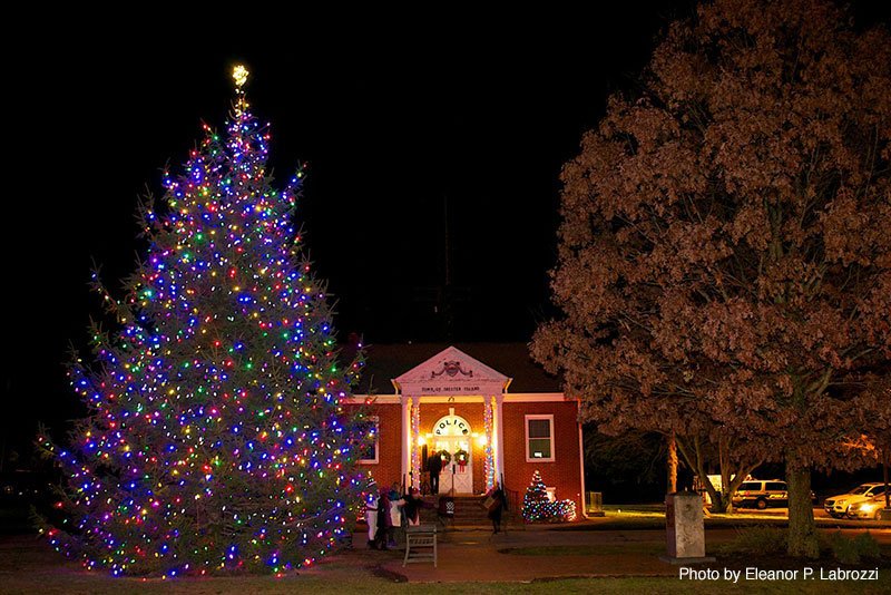 tree lighting
