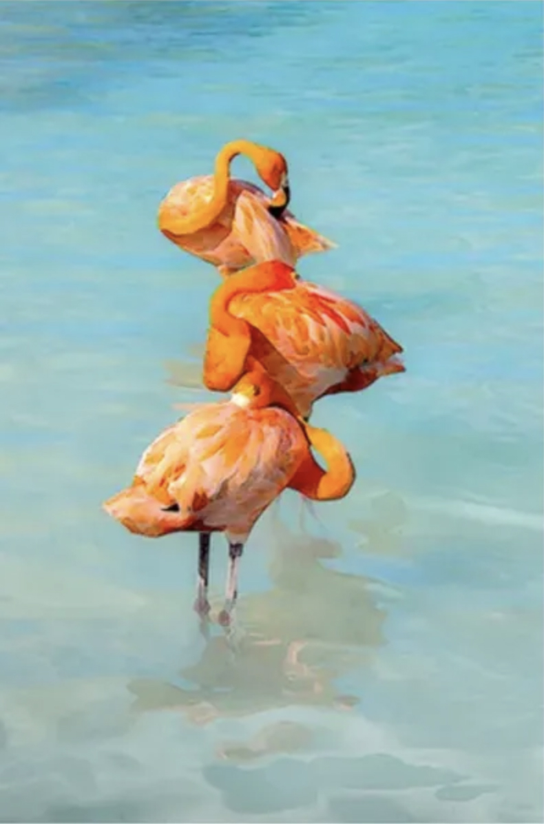 Alex Keto, "Flamingo Ballet," 36" x 55", digital photography/sublimation on metal at the Box Art Gallery 2022 Florida Showcase