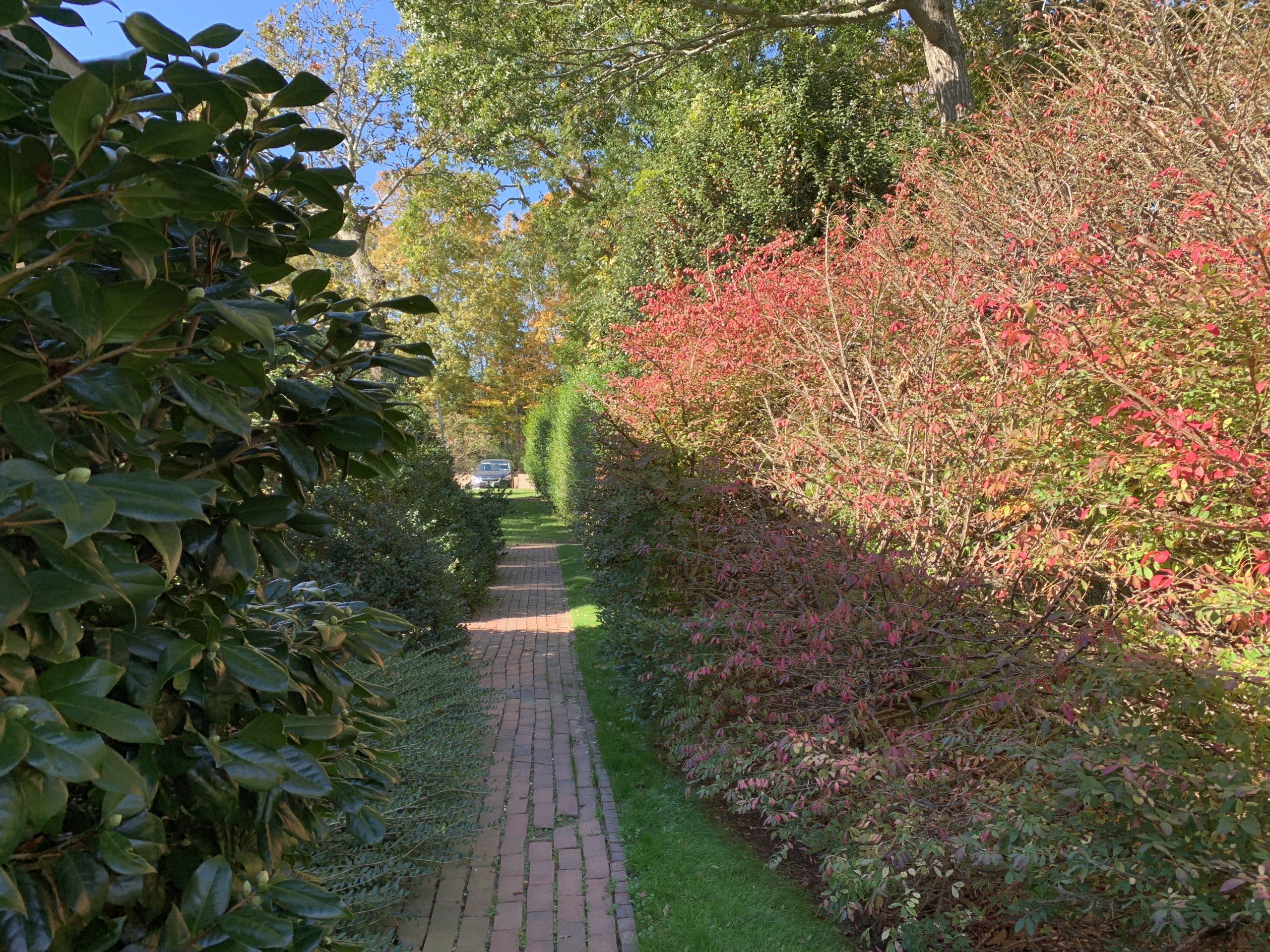 Take the opportunity to explore the Bridge Gardens this week in the Hamptons