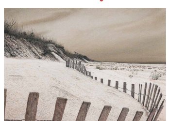 August 12, 2022 Dan's Papers cover art by Howard Stern