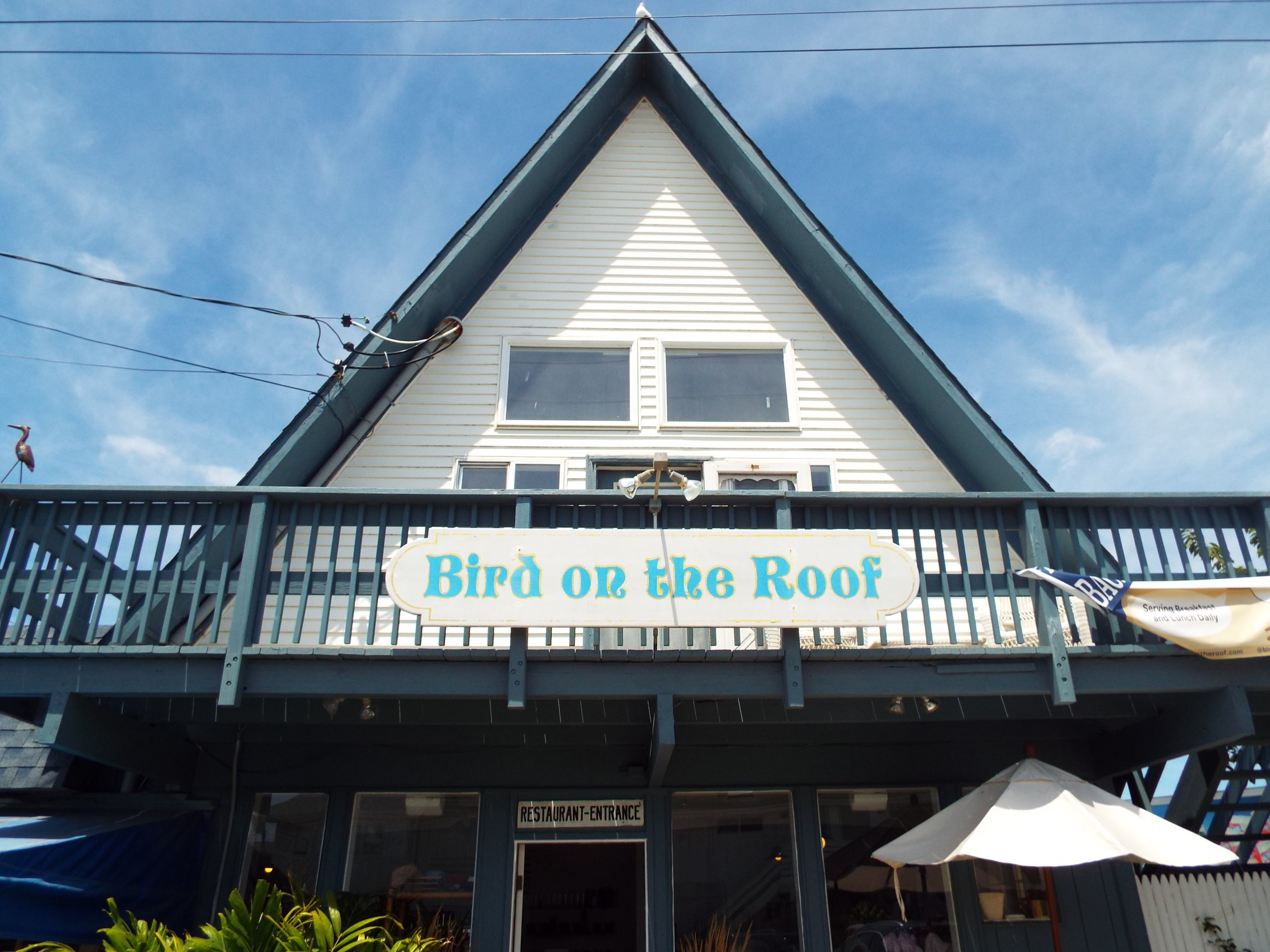 Bird on the Roof restaurant at Daunt's Albatross in Montauk