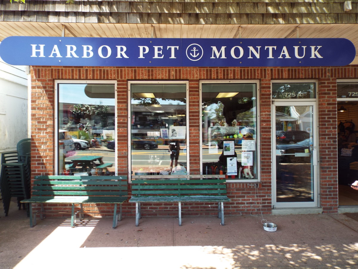 Pamper & Supply Your Pets at Hamptons Pet Shops This Summer