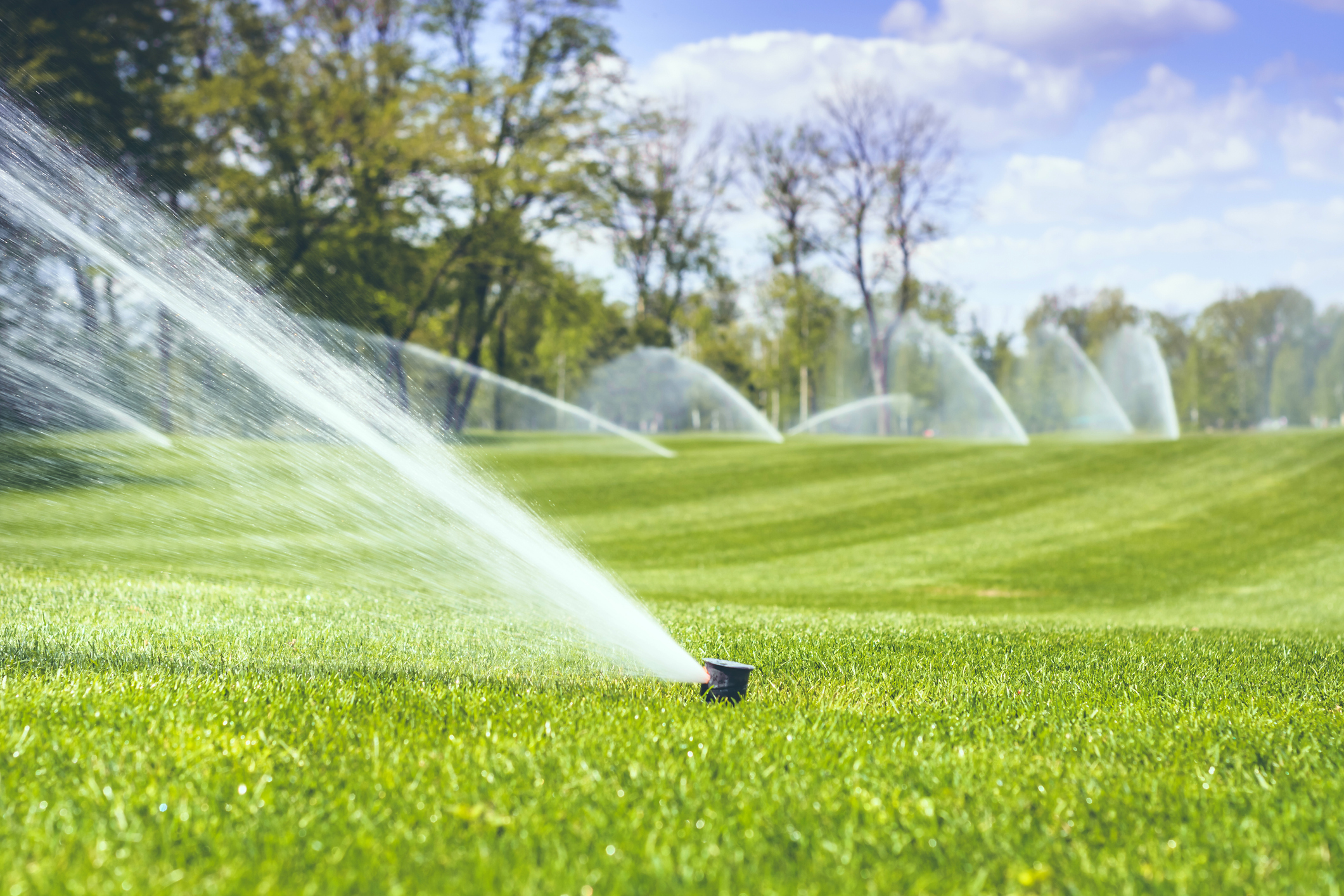 Twin Forks residents are ignoring requests to all stop watering their lawns at the same time during this drought