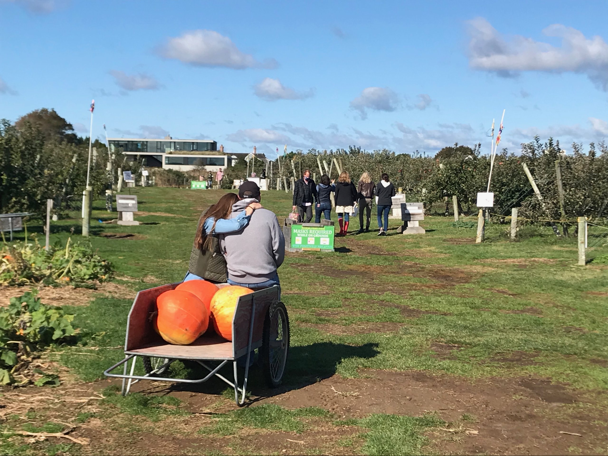 Halsey Farm / Milk Pail apple and pumpkin picking - family fun for all