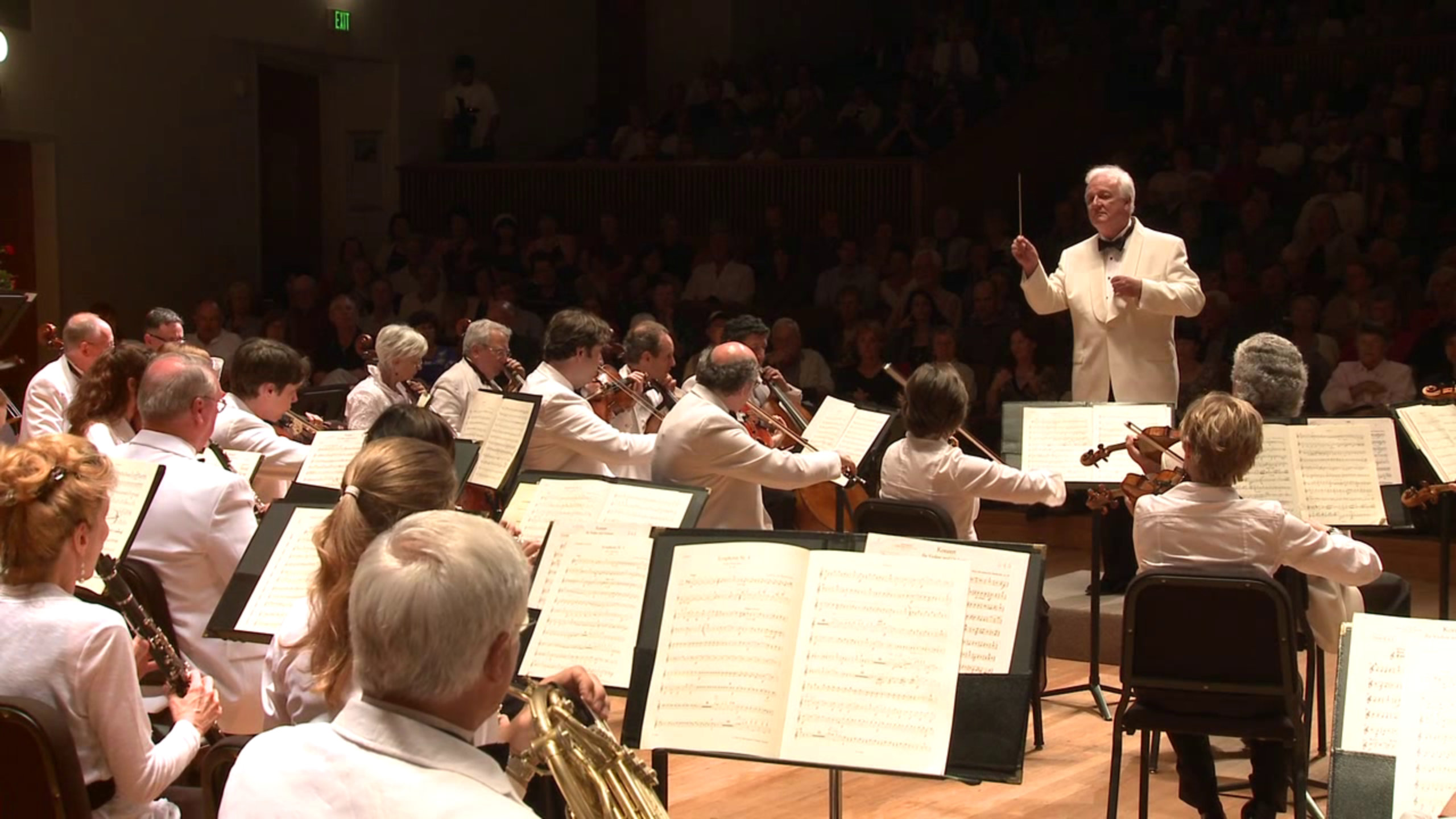 Hamptons Festival of Music founder Maestro Michael-Palmer conducting