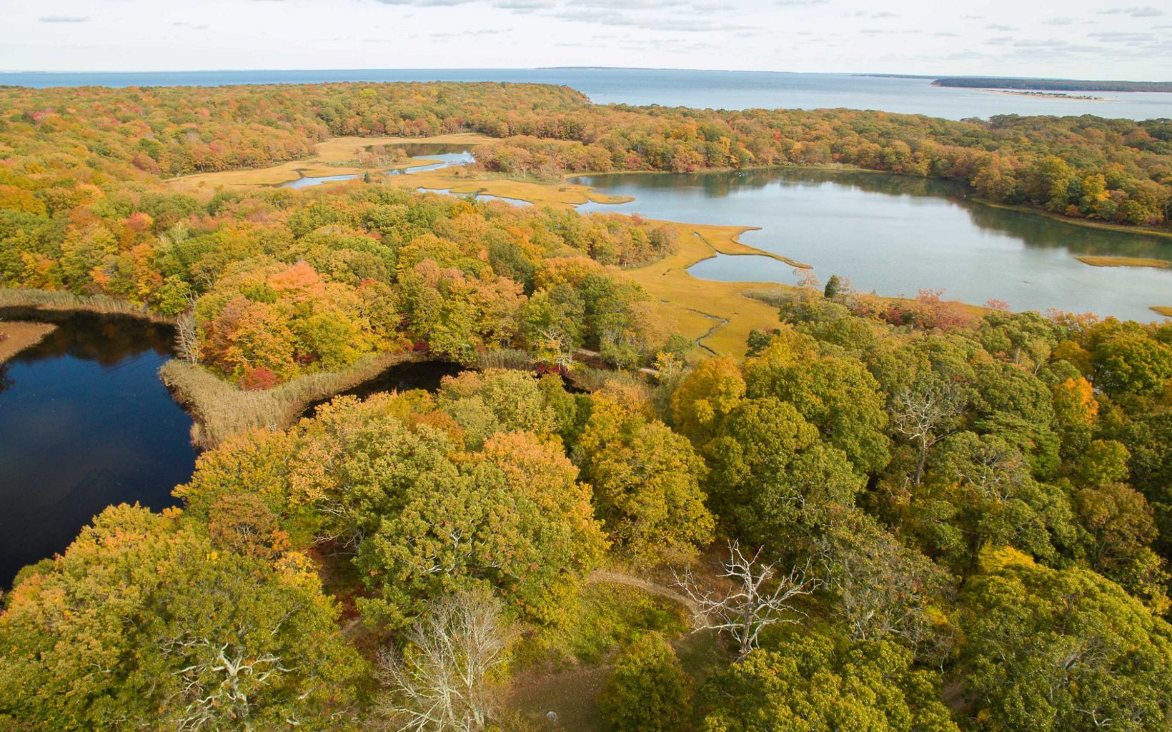 Take a walk through this beautiful piece of Shelter Island on the North Fork (sort of)