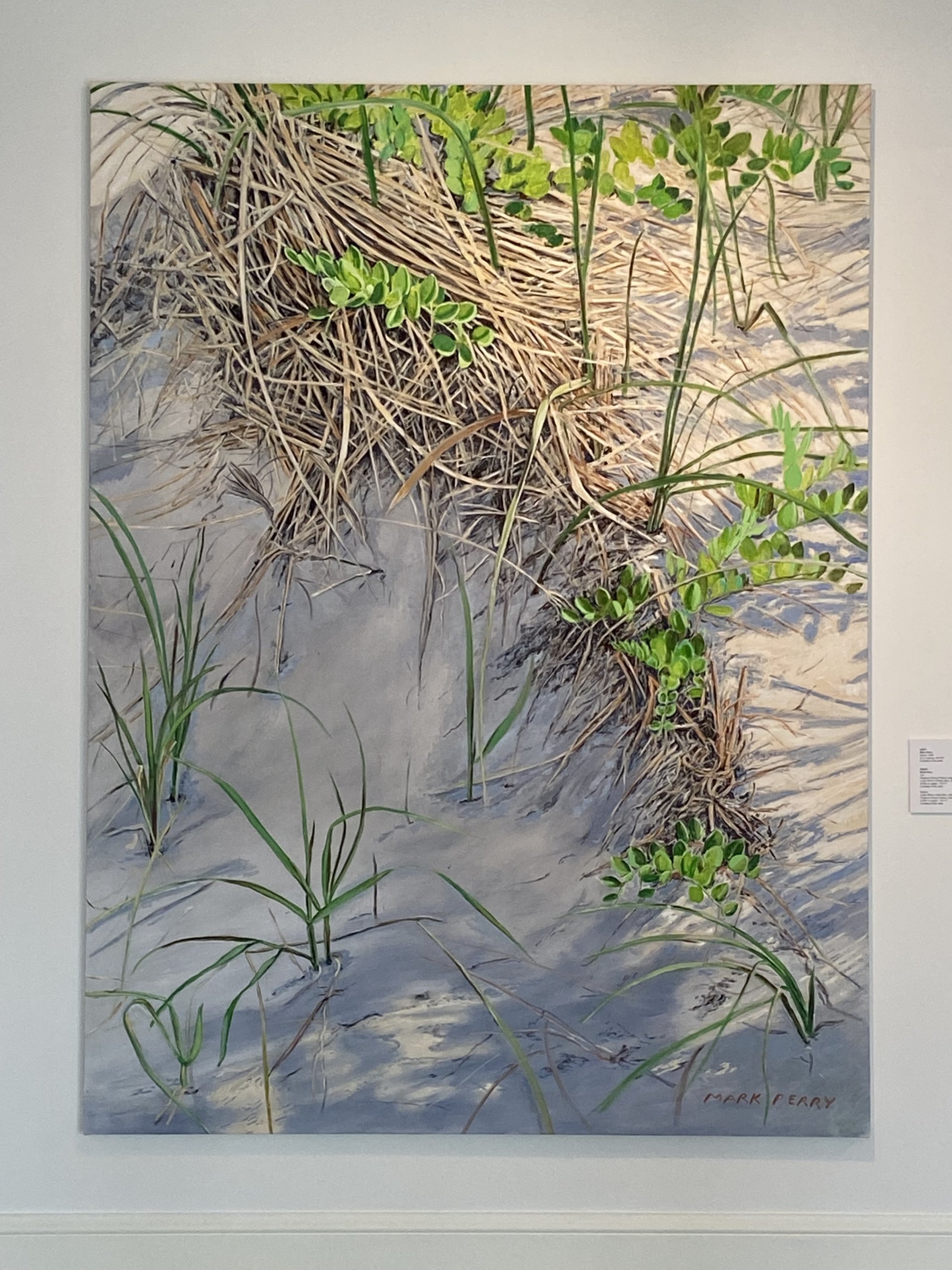 Mark Perry "East Hampton Dunes" (2022, oil on canvas, 96"x 78")