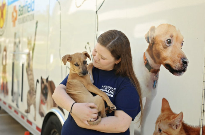 American Humane is helping dogs in Florida following the devastation left by Hurricane Ian