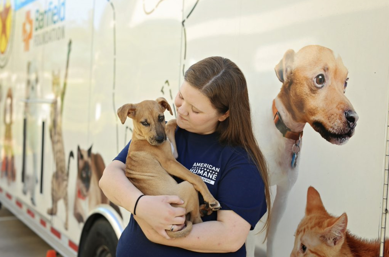 American Humane Helps Pets in Flooded Florida in Wake of Ian