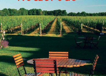 August 26, 2022 Dan's North Fork cover art