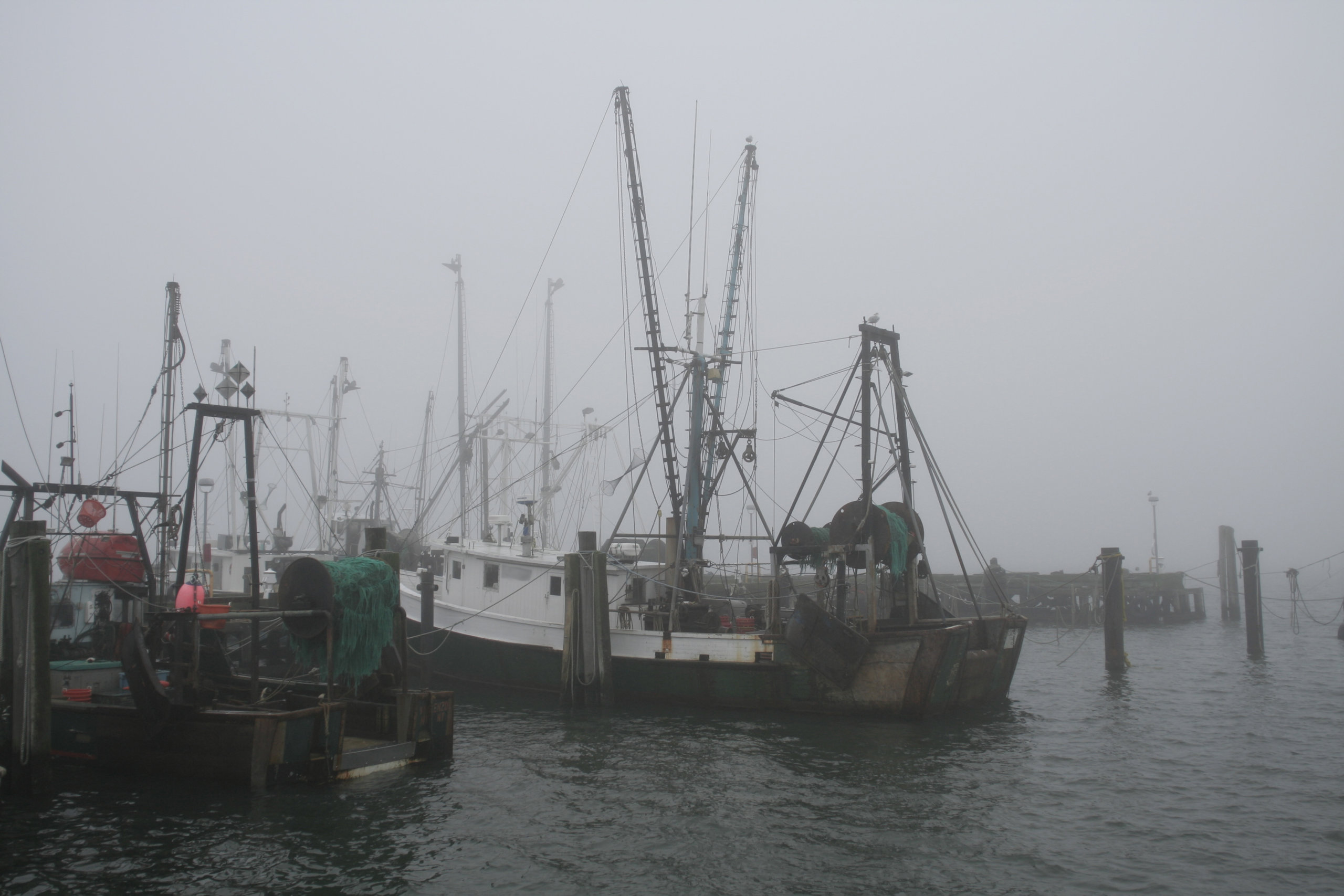 Lobster fishing boats docked in foggy Hampton Bays 