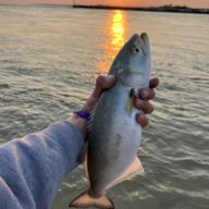 A 12-inch cocktail bluefish caught fishing at Cupsogue on September 17