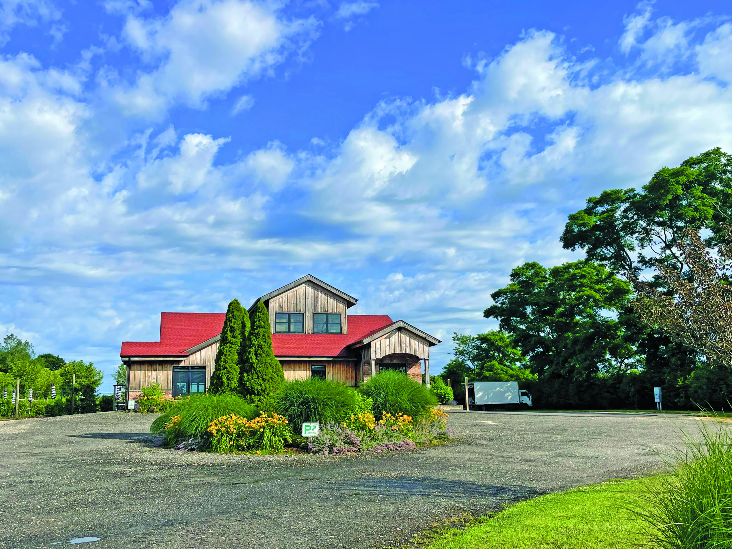 Sannino Vineyard on the North Fork