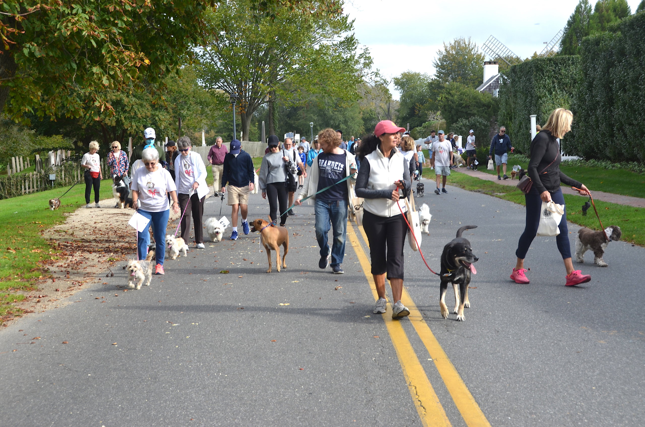 ARF Hamptons Stroll to the Sea Dog Walk