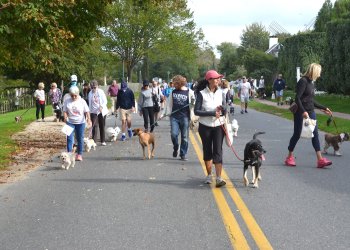 ARF Hamptons Stroll to the Sea Dog Walk