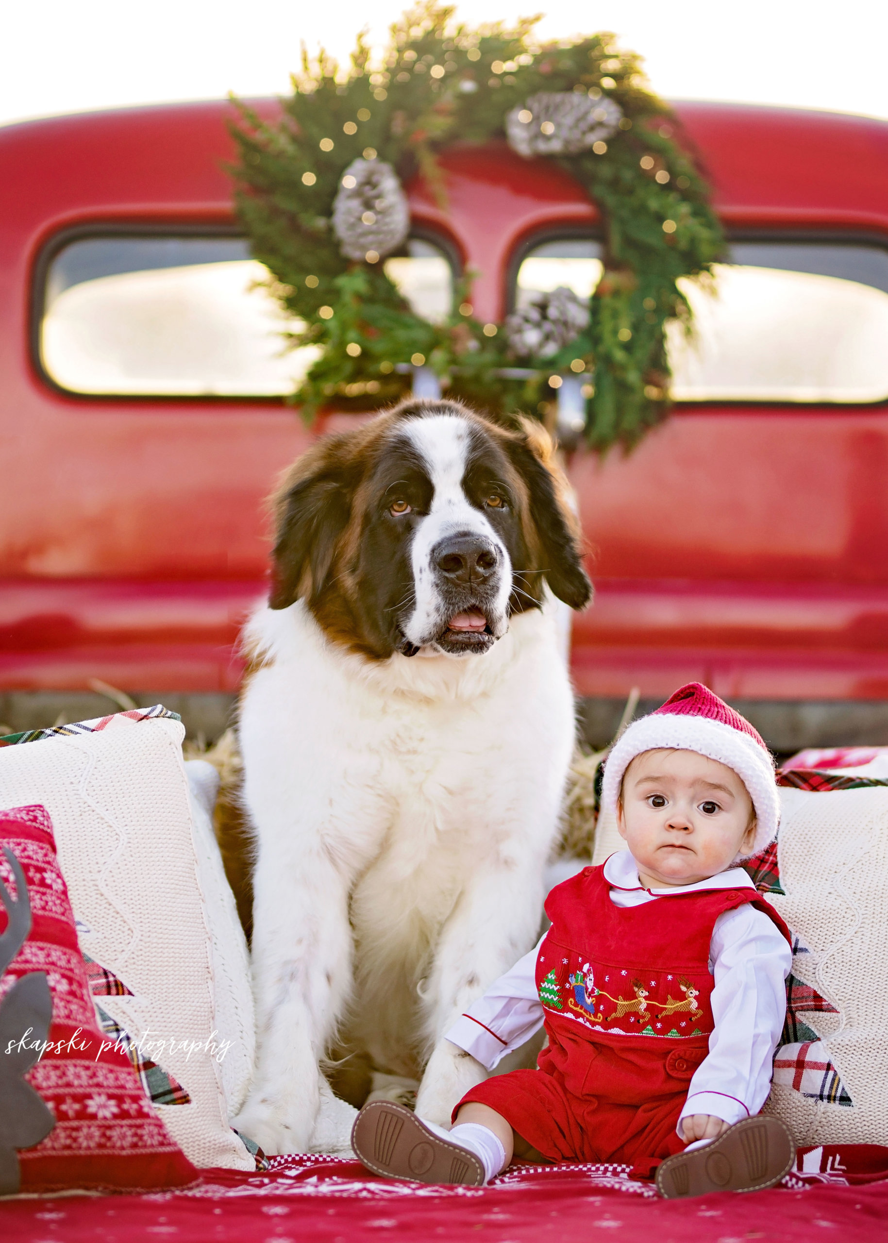 Santa's Christmas Tree Farm