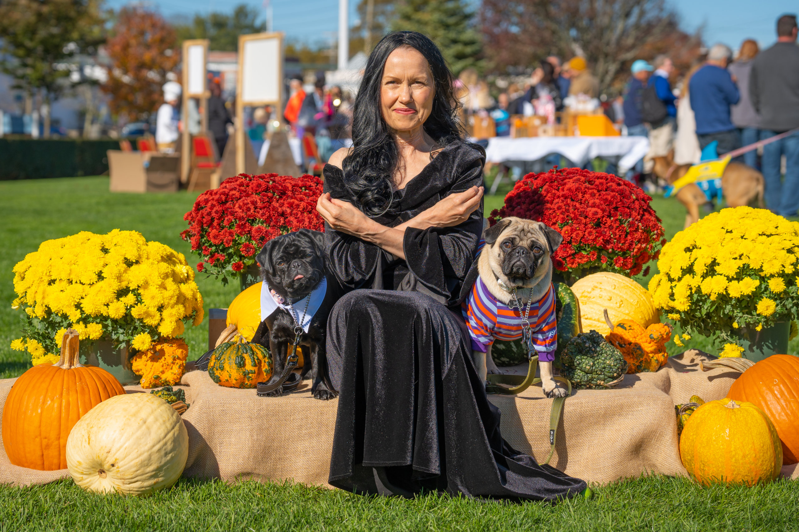 Pugsley, Wednesday and Joanna Massey, Little Lucy's pet parade