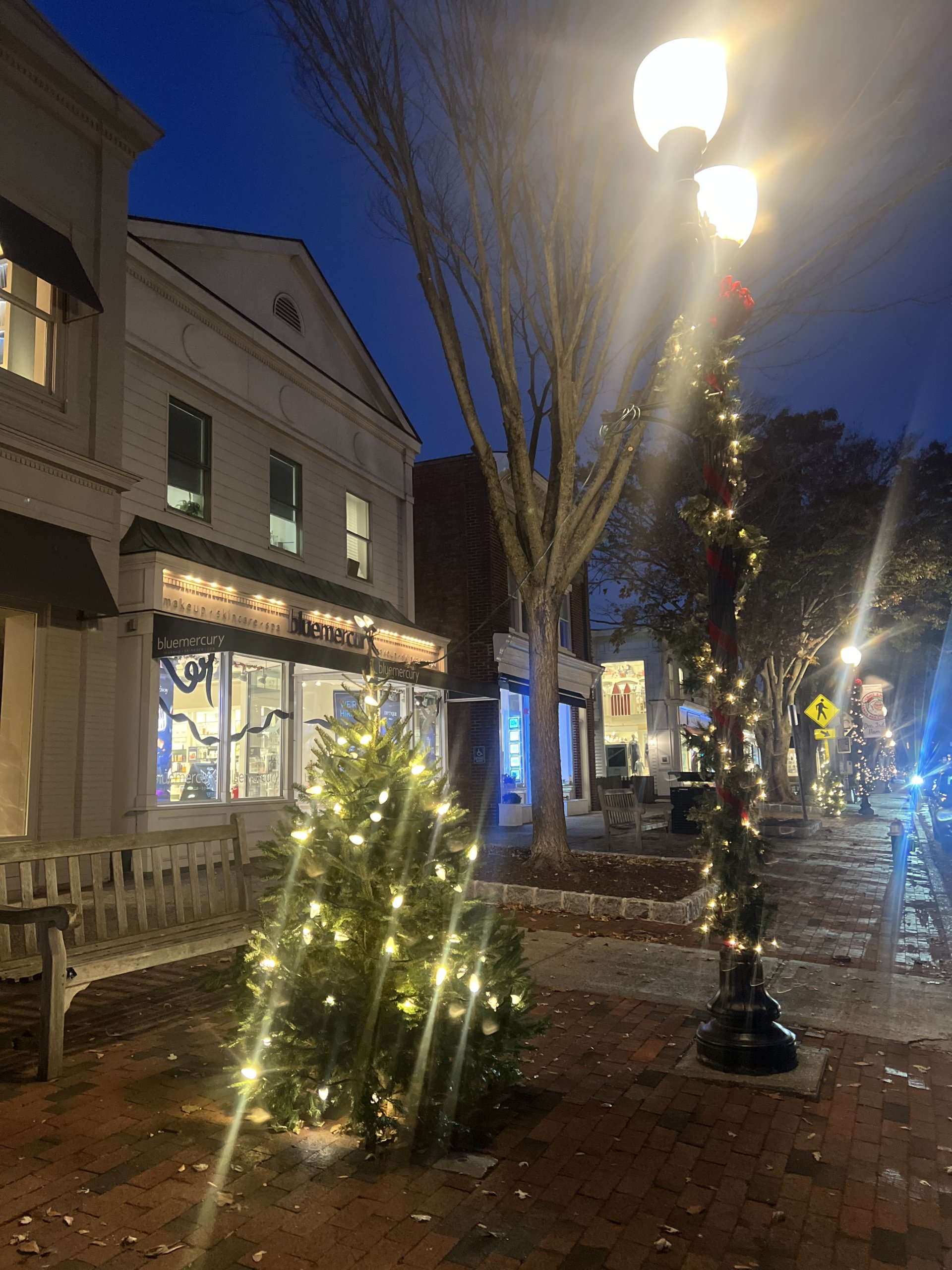 East Hampton Village Christmas trees are a bit small this year