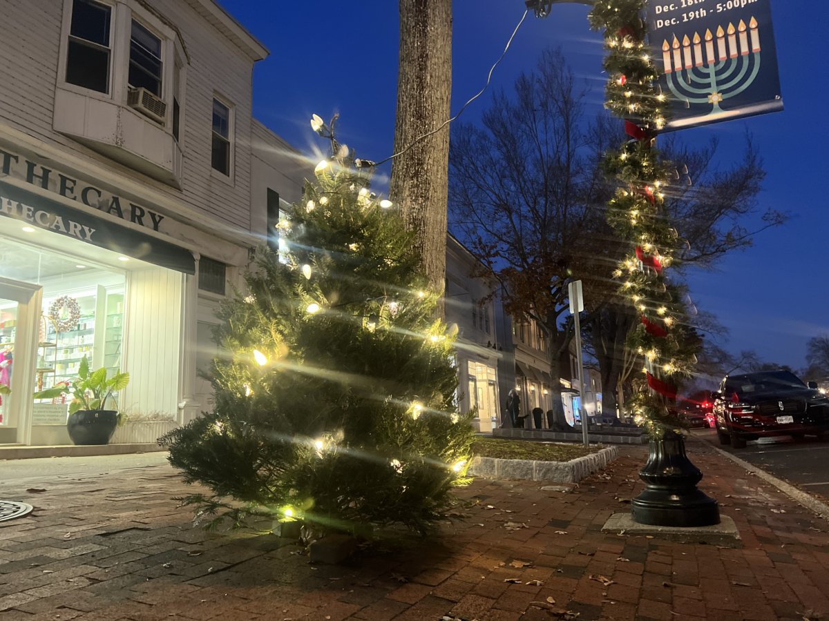 East Hampton Village Christmas trees 2022