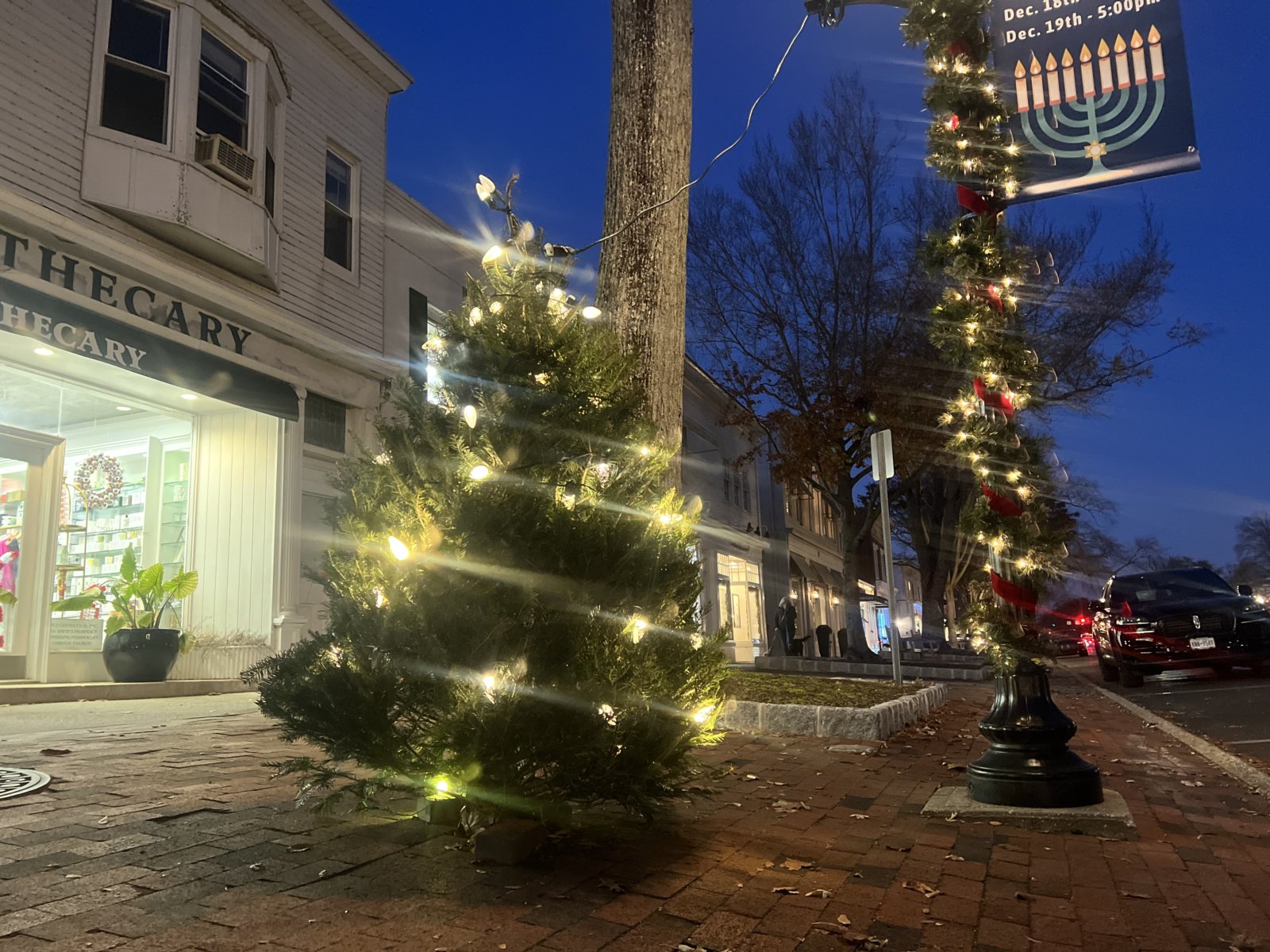 Charlie Brown Christmas Trees to Be Replaced in East Hampton