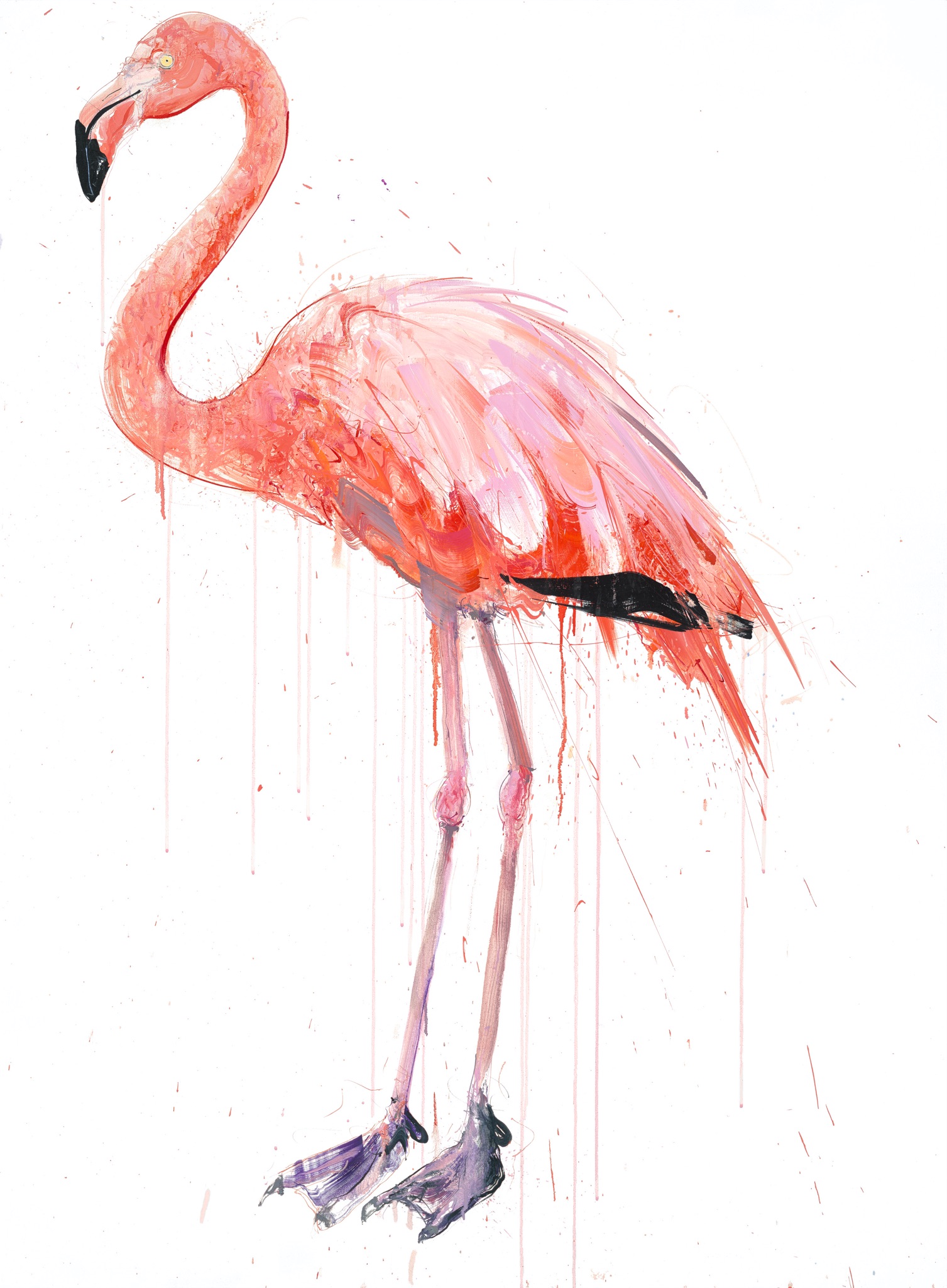 Dave White's "Flamingo Facing Left" (2019) is on view now at The White Room Gallery..