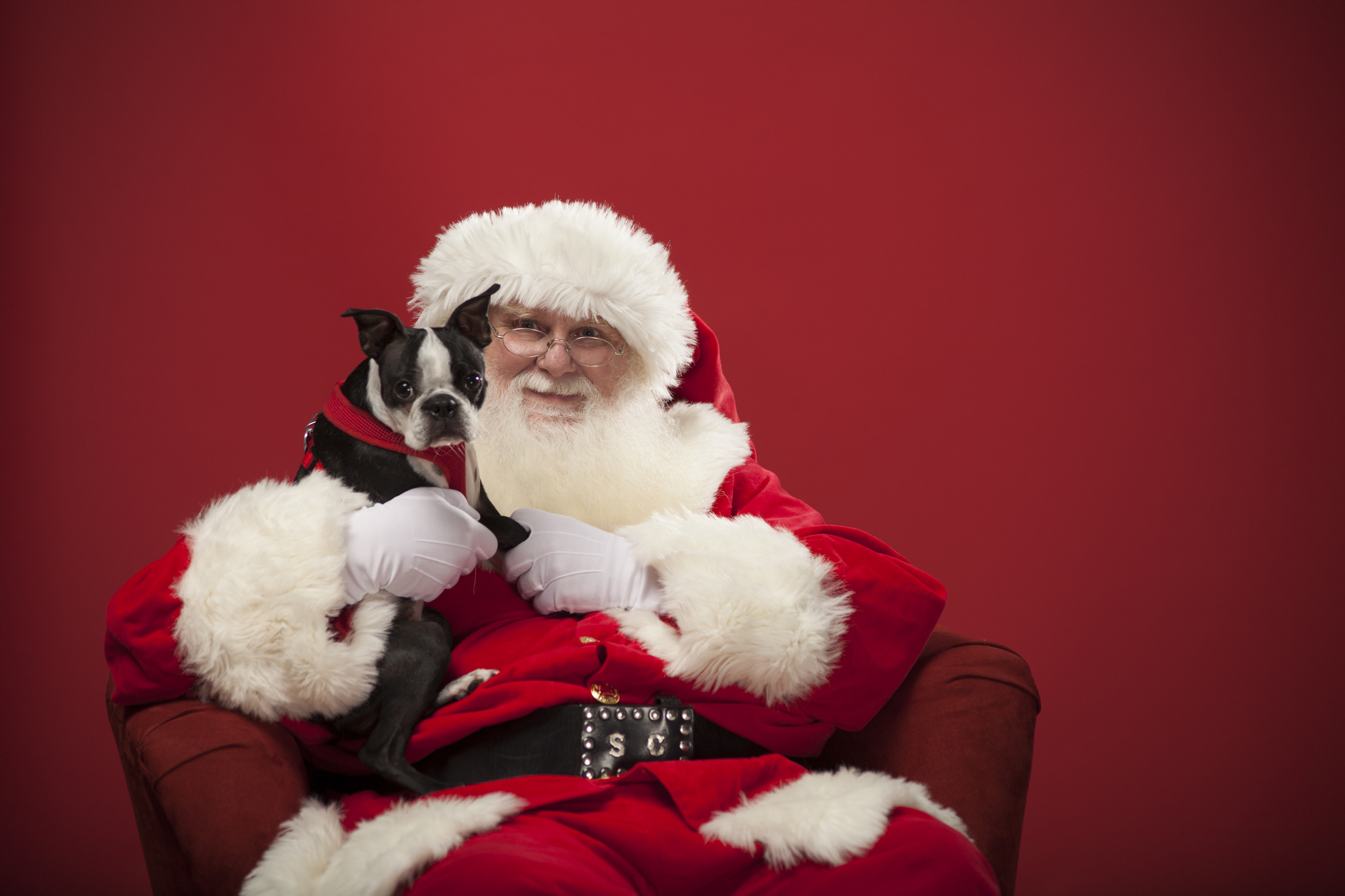 Horizontal composition isolated on red of the real santa holding a dog