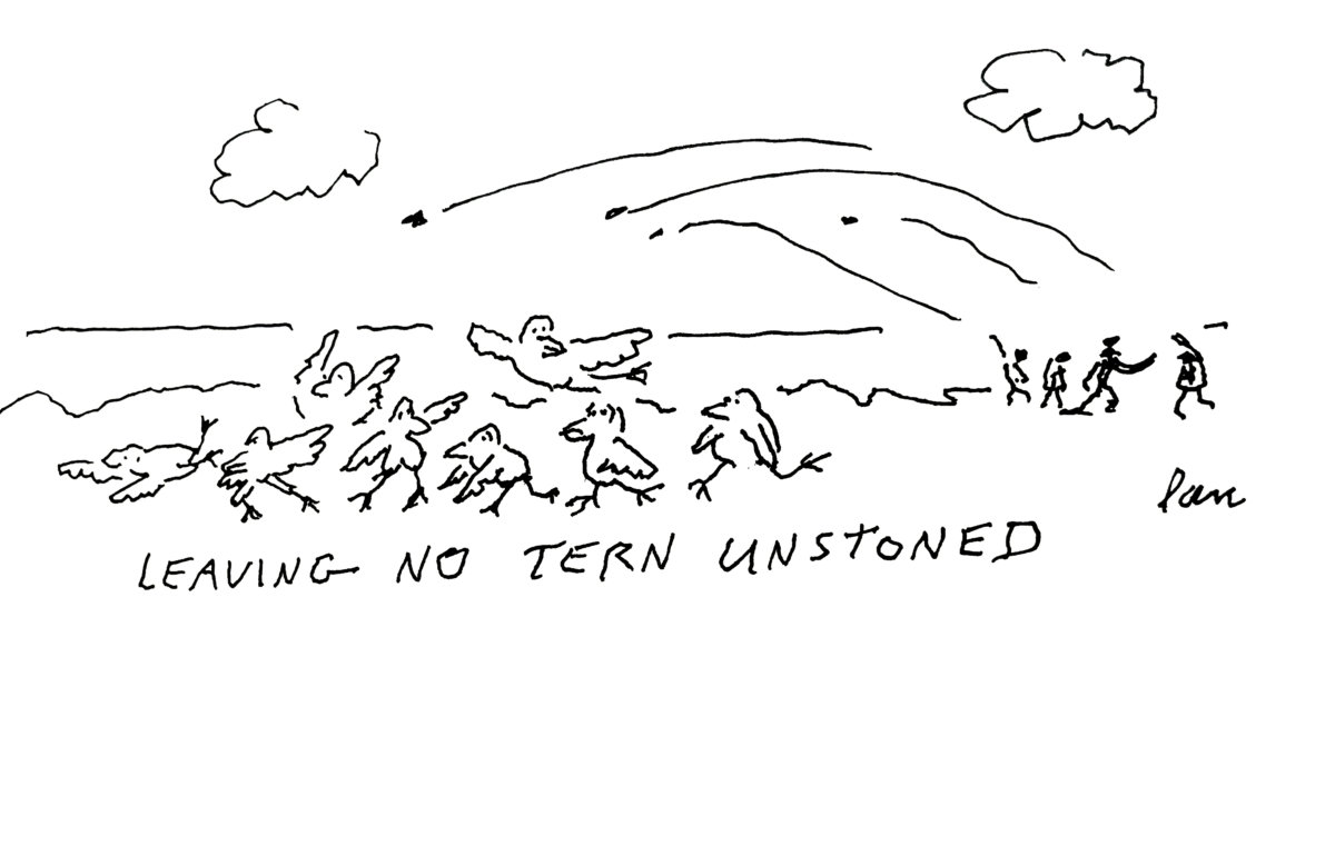 Leaving no tern unstoned