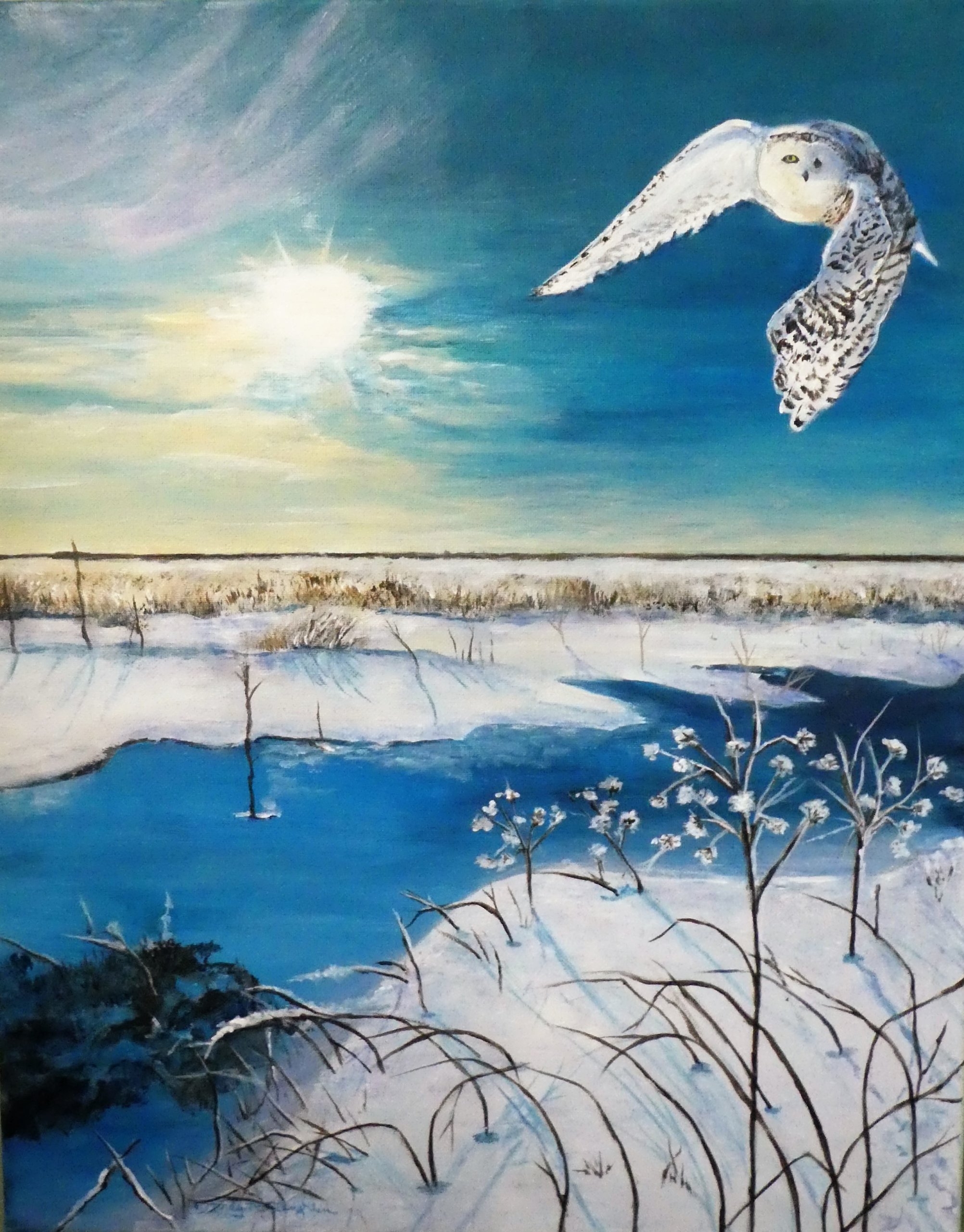 "Snowy Owl Soaring Over Field" by Wendy McLaughlin
