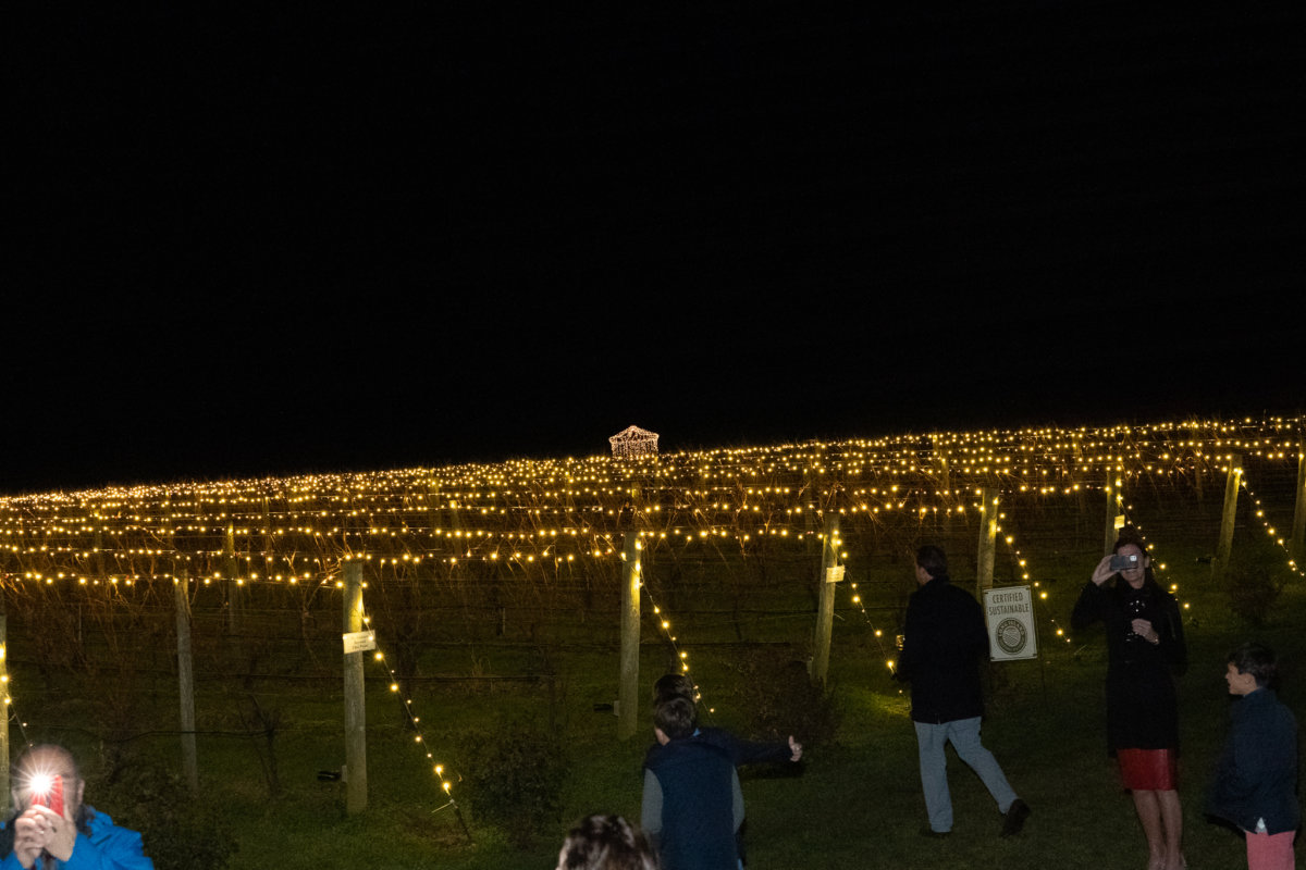Photos Wölffer Estate 2022 Lighting of the Vines