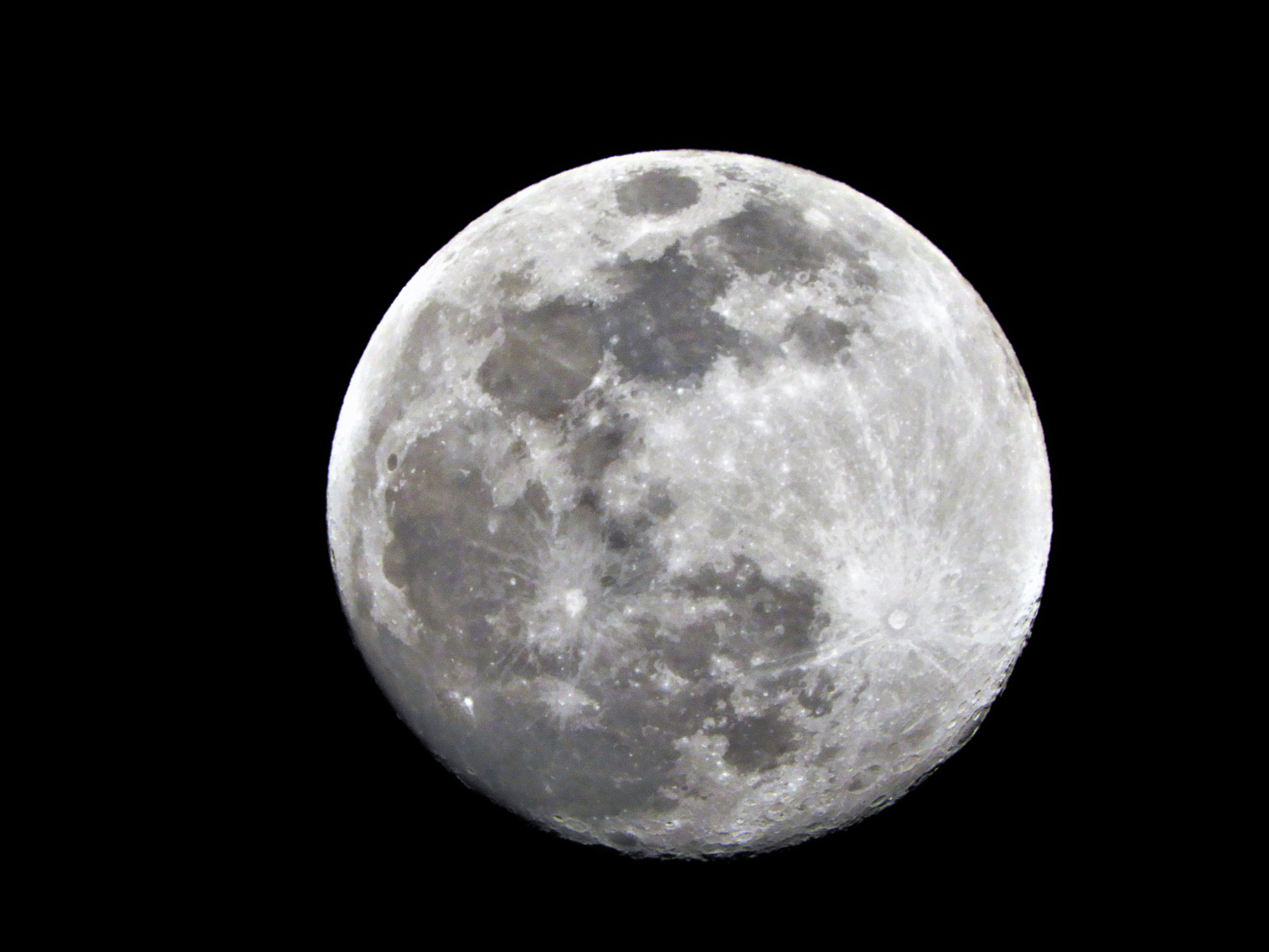 A Wolf Moon North Fork