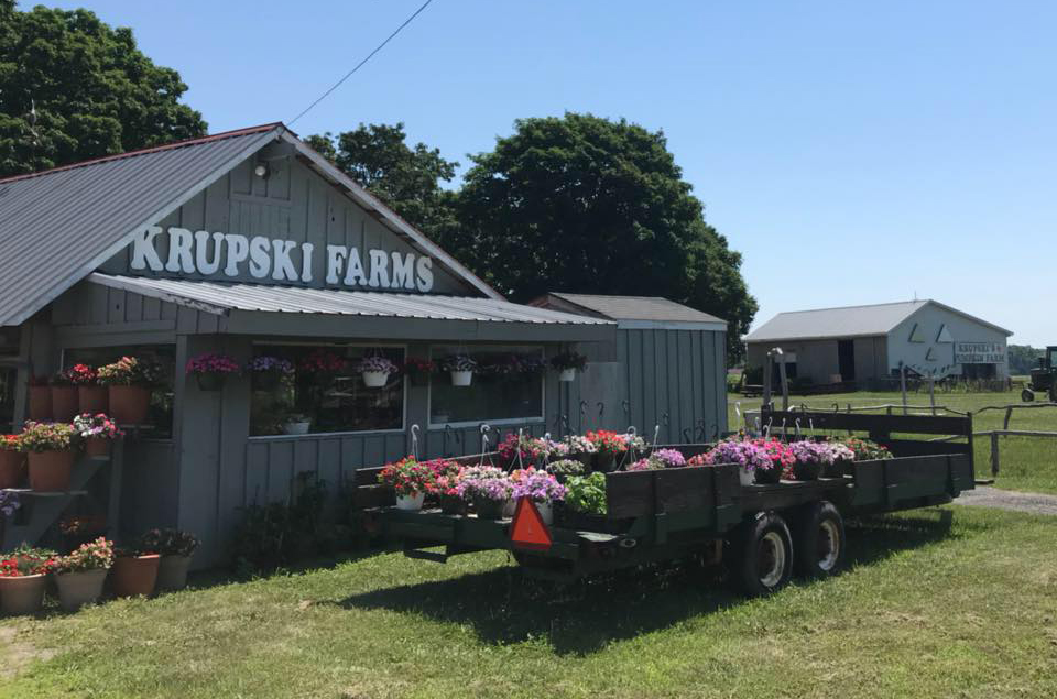 Krupski Farms