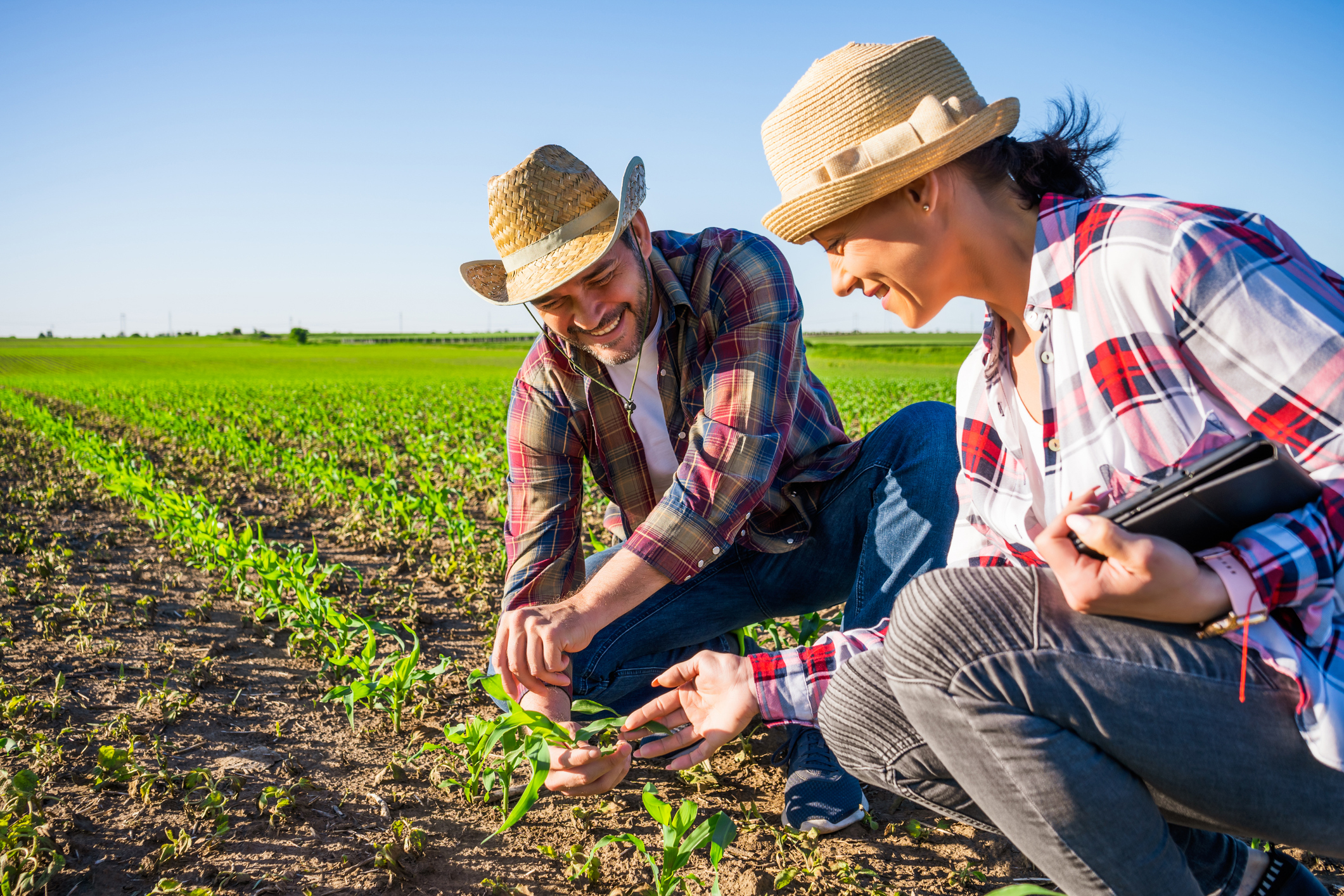 Get your hands in the dirt with FoodLab in-person classes