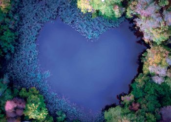 February 24, 2023 Dan's Papers cover art by Joanna L. Steidle