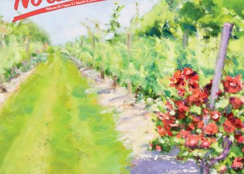 March 3, 2023 Dan's Papers North Fork cover art by Patricia Feiler