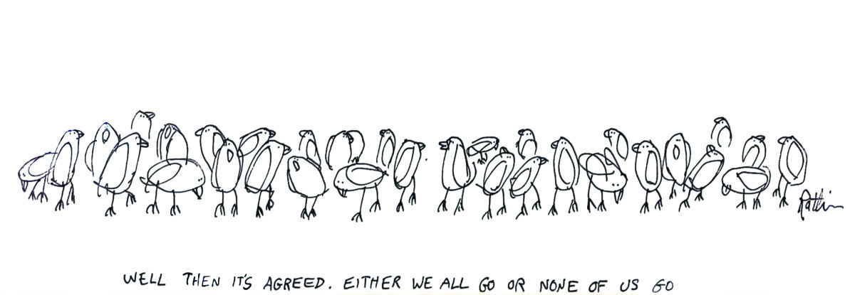 birds Cartoon by Dan Rattiner